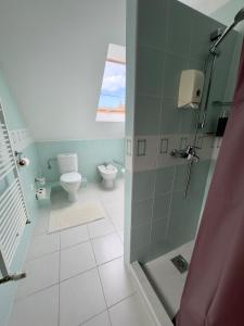 a bathroom with a shower and a toilet and a window at Marilyn Apartman Gyenesdiás in Gyenesdiás +7 photos