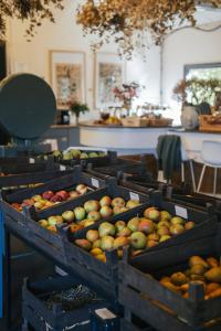 a bunch of wooden bins filled with apples and oranges at Eco Farm Camping 'de Waeldernis' in De Waal +97 photos