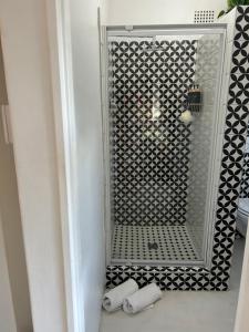 a shower with a mirror in a bathroom at Private big Apartment in Eversdal