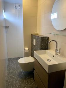 a bathroom with a toilet and a sink and a mirror at Boerenslag 46 in Sint Maartenszee +8 photos
