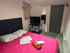 a bedroom with a pink bed with a pink blanket at Venise chambre accès privé in Castres