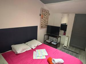 a bedroom with a pink bed and a tv at Venise chambre accès privé in Castres