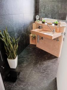 a bathroom with a sink and a potted plant at Playadeivo in Pineto