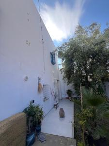 a white building with a courtyard with plants at دارالقوس in Sfax