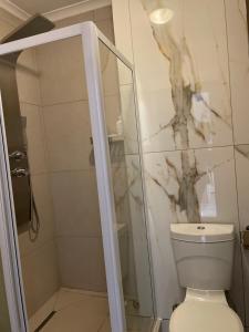 a bathroom with a shower and a toilet and a shower at Beachside Bliss Strand in Strand +17 photos
