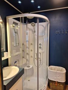 a bathroom with a shower and a sink at A l'Est d'Eden in Hastière-Lavaux +36 photos