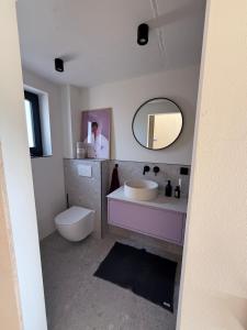 a bathroom with a sink and a toilet and a mirror at Modernes Tinyhouse im Weserbergland nahe Hameln in Hessisch Oldendorf +16 photos