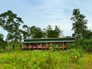 a house with a green roof in a field at Kibale Riverside Camp in Kamwenge