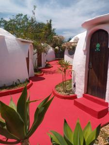 a red carpeted walkway to a house with a door at Pousada Lunazem in Alto Paraíso de Goiás +40 photos