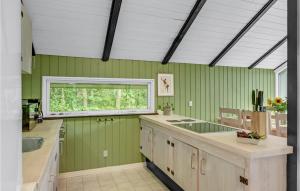 a green kitchen with a sink and a window at Holiday Home Østmarken Toftlund Denm in Toftlund