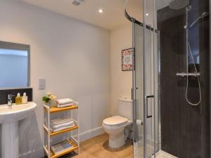 a bathroom with a shower and a toilet and a sink at Harris Cottage - Uk40056 in Aberfeldy