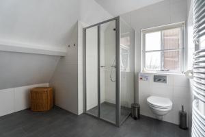 a bathroom with a shower and a toilet at t Huysje van Klippel in Tholen +32 photos