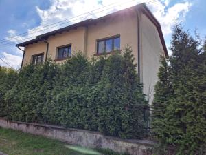 a house with plants growing on the side of it at Apartmán Bezručka in Třinec