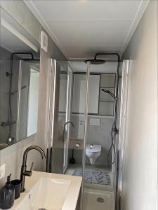 a bathroom with a shower and a sink and a toilet at The Wellness View! in Hoogersmilde +4 photos