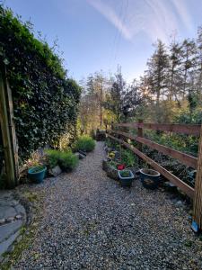 a garden with potted plants next to a fence at River Cottage in Llanbedr