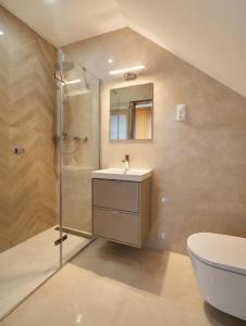 a bathroom with a shower and a sink and a toilet at „Amber” Pokoje z widokiem na morze in Krynica Morska +91 photos