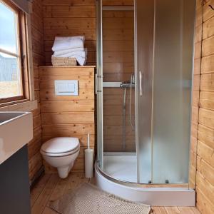 a bathroom with a shower and a toilet at Armuli in Reynistaður +15 photos