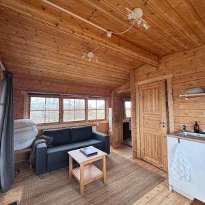 a living room with a blue couch in a wooden room at Armuli in Reynistaður