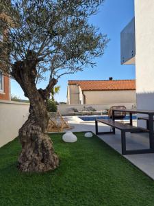 a tree in the middle of a yard with a bench at Vila VivaVir with 2x E-Scooter, private Pool & Grill in Vir