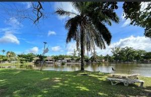 a park with a bench and a palm tree next to a lake at Three Hen Lakeside in Ban Na Nai