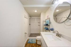 a bathroom with a sink and a toilet and a mirror at Palms Getaway in Freeport +21 photos