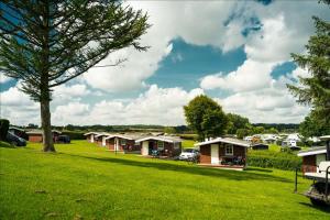 a row of cottages in a field with a tree at Vikær Strand Camping & Cottages in Diernæs +23 photos