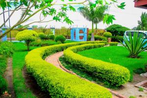 a garden with green bushes and a path at Lion Haven Guest House in Harare
