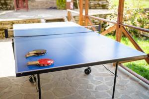 a blue ping pong table with a red ball on it at Casa Coasta Tare in Trăisteni