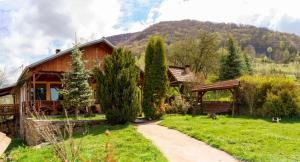 a house in the mountains with a path in front at Casa Coasta Tare in Trăisteni