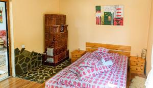 a bedroom with a bed and a book shelf at Casa Coasta Tare in Trăisteni