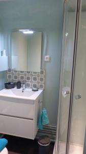 a bathroom with a sink and a shower at La maison des musiciens in Digosville +80 photos
