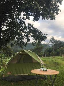 a green tent with a table in a field at Minerva Garden Camping in Ranomafana