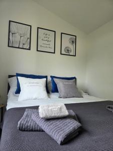 a bedroom with two beds with blue and white pillows at Studio Apartment Ceca*** in Fažana