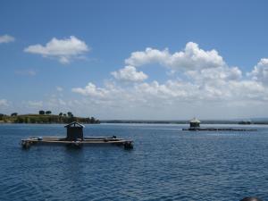 a dock in the middle of a large body of water at Abode of Peace in Esperance
