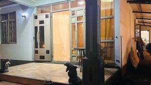 a room with a stage with two cats sitting on it at cozy home in Argy
