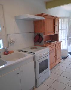a kitchen with a white stove top oven next to a sink at Maisonnette "Les Volets Bleus" in Orgedeuil