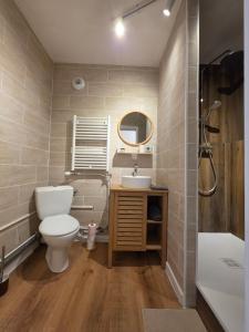 a bathroom with a toilet and a sink and a shower at Chez Marie et Ludovic in Ronchin
