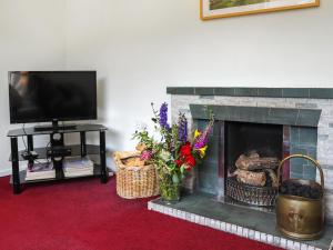a living room with a fireplace and a tv at Brynhafod in Llanfihangel-geneuʼr-glyn