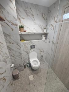 a bathroom with a toilet in a marble wall at Liliana's house in Kallithea Halkidikis