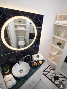 a bathroom with a sink and a mirror at Dreamy Oasis in Marigot