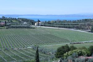 an empty field with the water in the background at WANDERLUST OASI, COUNTRYSIDE APARTMENTS - Bardolino, Lago di Garda - Verona in Bardolino