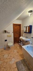 a bathroom with a toilet and a sink at Ferienwohnung Mone - Wohlfühlen am Thüringer Meer in Ziegenrück