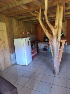 a kitchen with a white refrigerator next to a tree at Cabaña Cherenga in Sarchí