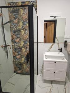 a bathroom with a shower and a sink at Apartament Karbowo in Brodnica +5 photos