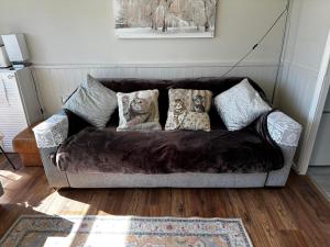 a brown couch with pillows on it in a living room at Seabreeze Number 74 includes swimming passes and club entry in Scratby