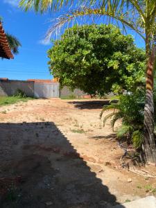 a shadow of a palm tree on a dirt road at Aconchego&Lazer in Piaçabuçu