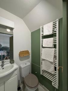 a green bathroom with a toilet and a sink at Le Molineuf in Orchaise +23 photos