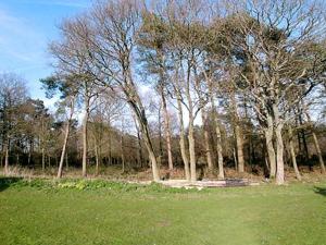 a group of trees in a field with green grass at The Old Carthouse in Steyning