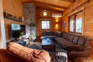 a living room with couches and a tv in a cabin at Zabes Home in Zabes