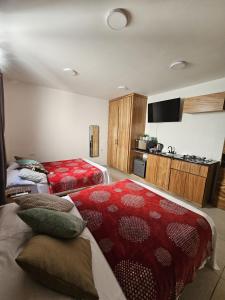 ein Hotelzimmer mit zwei Betten und einer Küche in der Unterkunft Hotel Azalea Rooftop in Aguascalientes